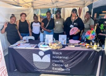 CDU students volunteer at the Black Maternal Health Center of Excellence booth at Taste of Soul.