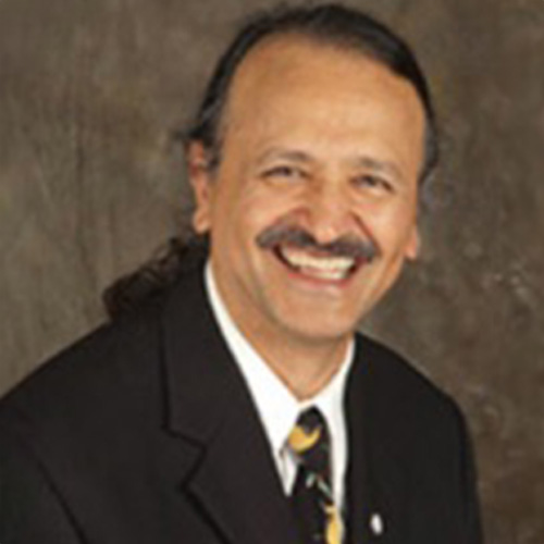 Mohsen Bazargan, Ph.D.